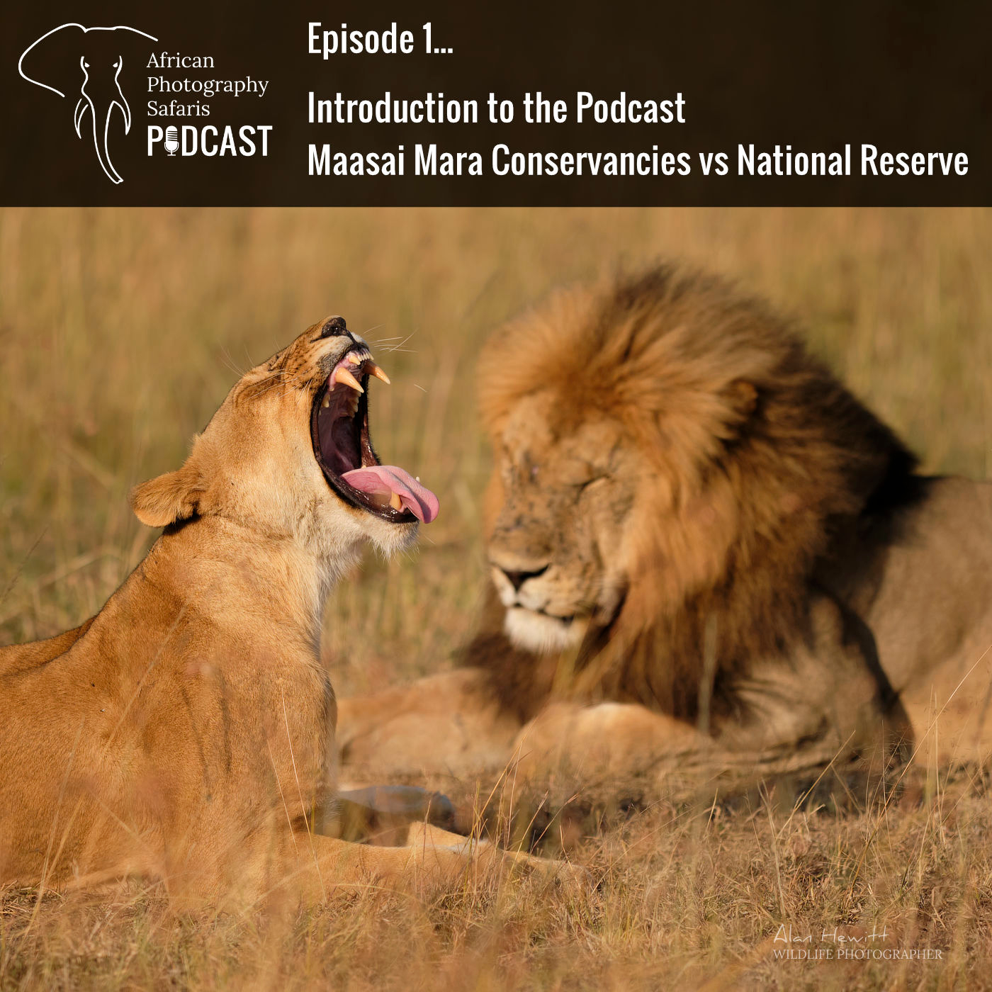 African Photography Safaris Podcast. Episode 1 - Introduction to the Podcast and Maasai Mara Conservancies vs National Reserve
