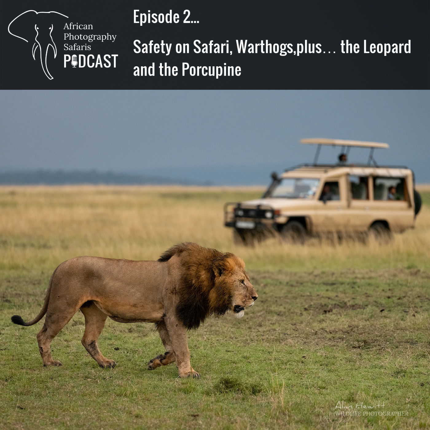 African Photography Safaris Podcast. Episode 2 - Warthogs. The leopard and the porcupine and safari safaety