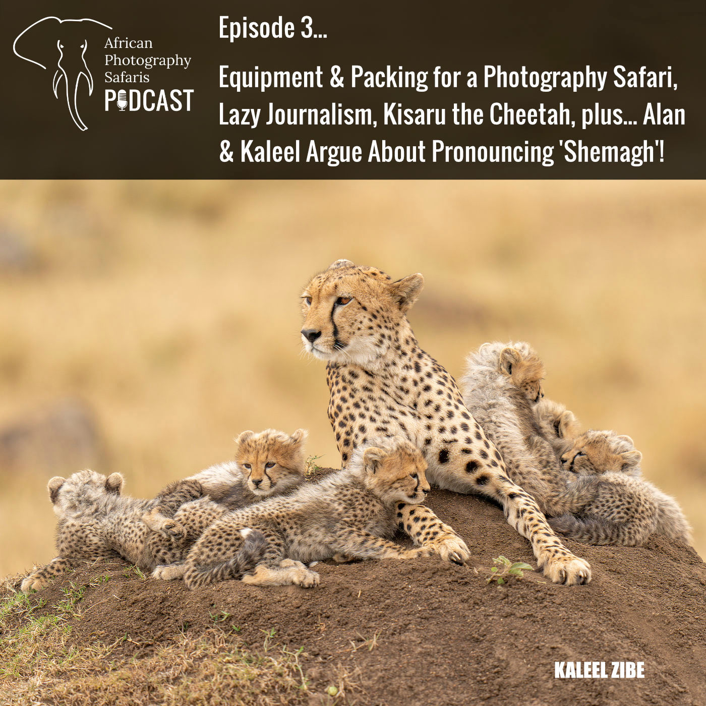 African Photography Safaris Podcast. Episode 3 - Equipment & Packing for a Photography Safari, Lazy Journalism, Kisaru the Cheetah.