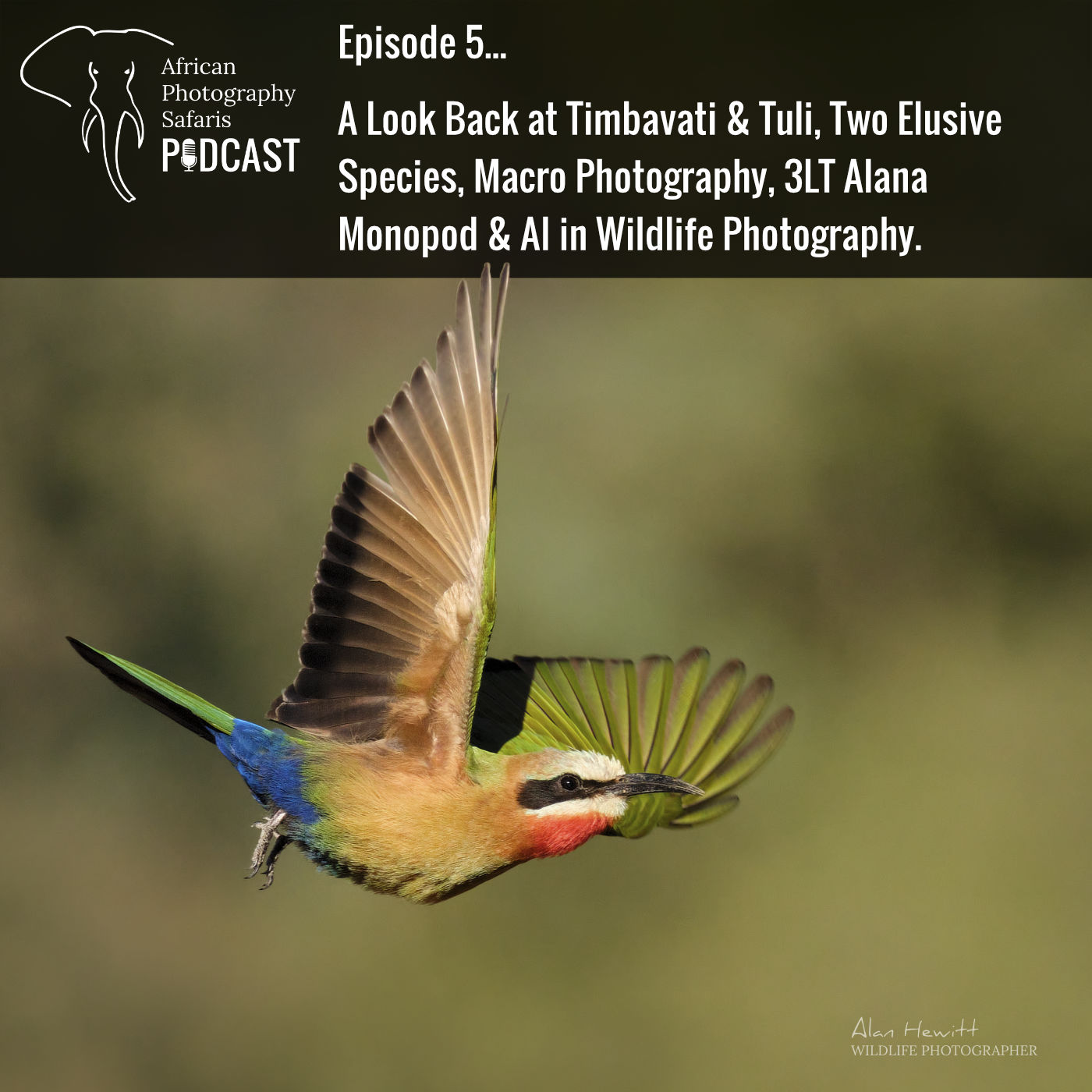 Episode 5 - A Look Back at Timbavati & Tuli, Two Elusive Species, Macro Photography, 3LT Alana Monopod & AI in Wildlife Photography