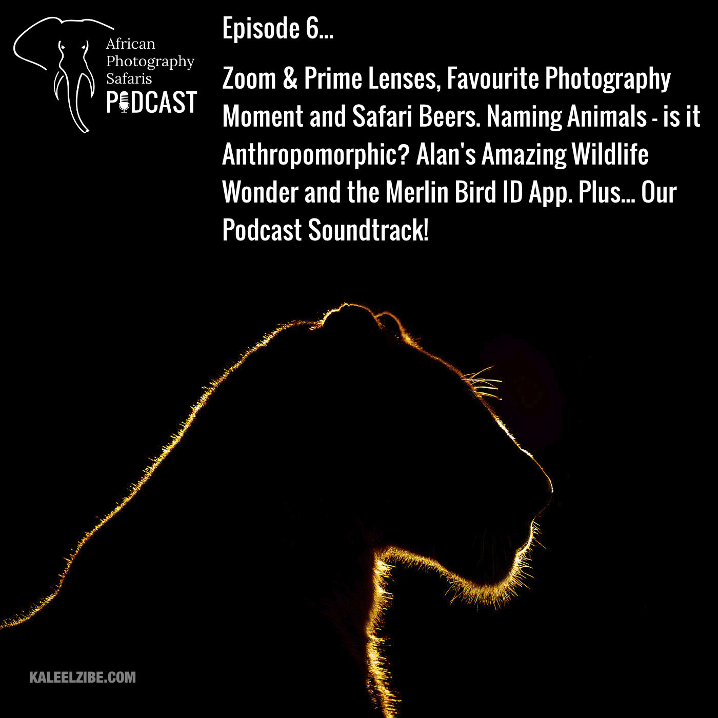 Episode 6 – Zoom & Prime Lenses, Favourite Photography Moment and Safari Beers. Naming Animals- is it Anthropomorphic? Alan’s Amazing Wildlife Wonder and the Merlin Bird ID App. Plus… Our Podcast Soundtrack!
