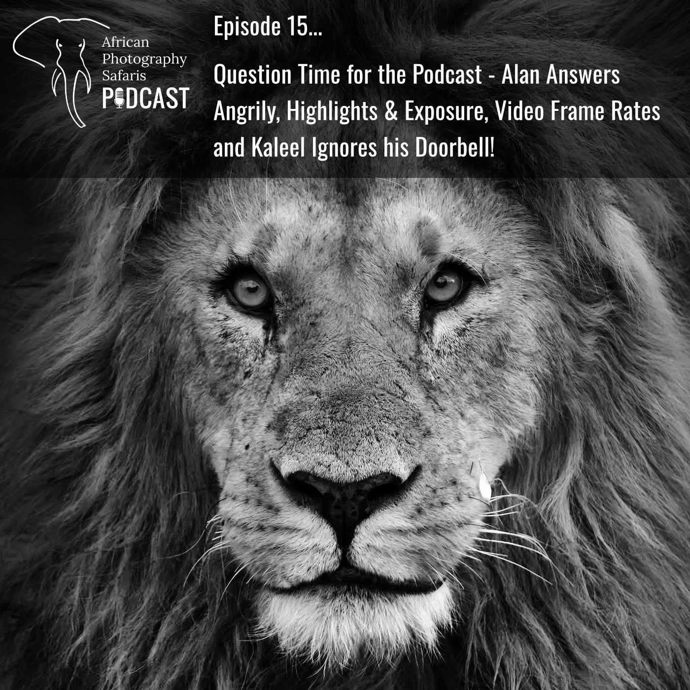 Episode 15… Question Time for the Podcast – Alan Answers Angrily, Highlights & Exposure, Video Frame Rates and Kaleel Ignores his Doorbell! Photographer's IT Woes, Back Lighting Exposure, White Balance and Raw, Trees - When an Acacia is not an Acacia Tree and Defensive Tannins Fieldcraft!